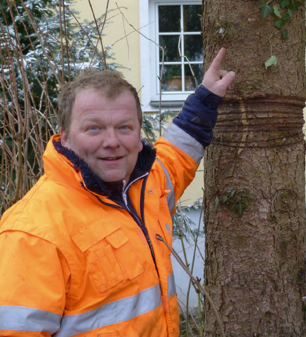 Karl Dirneder ist zertifizierter Baumkontrollor!